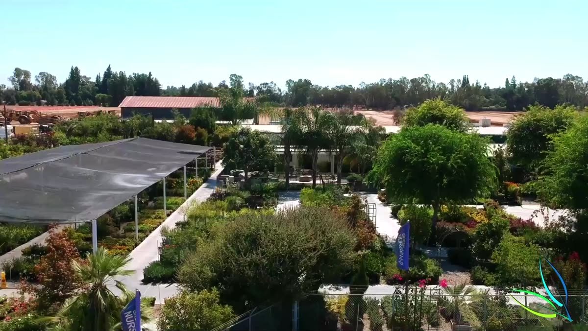 Overhead view of the Green Hills Nursery retail yard and shade houses