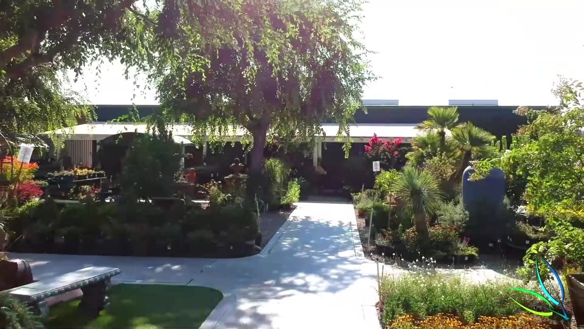 Shaded walkway, benches and koi pond winding through the Green Hills Nursery retail yard